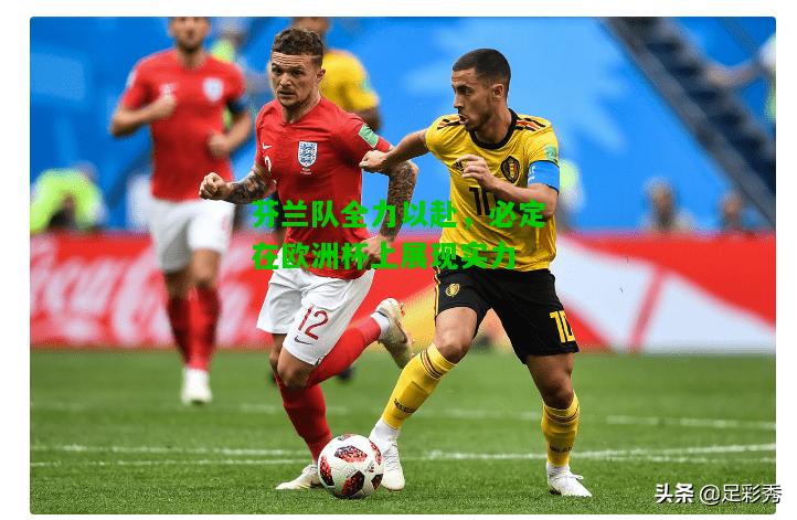 芬兰队全力以赴，必定在欧洲杯上展现实力