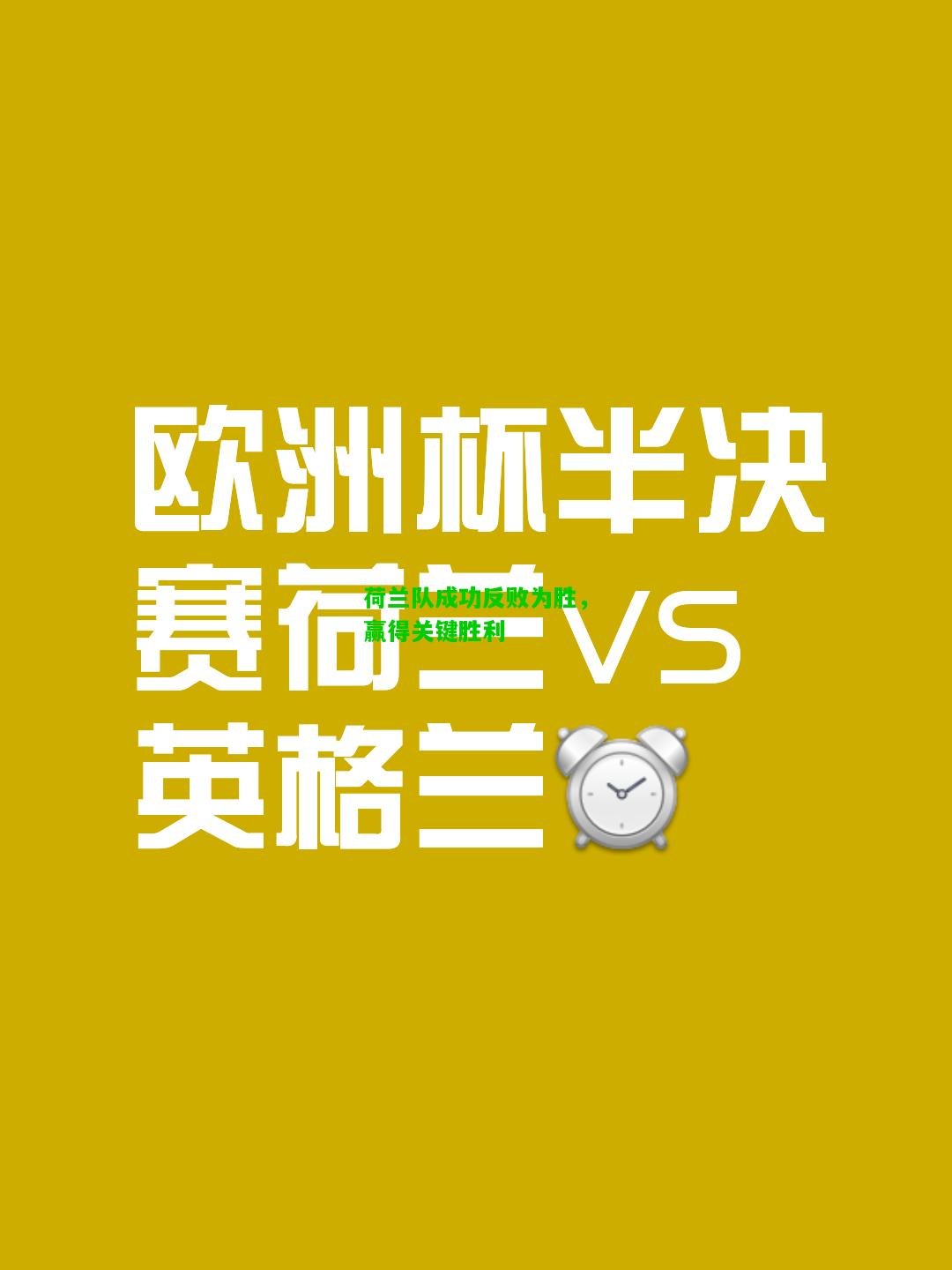 荷兰队成功反败为胜，赢得关键胜利