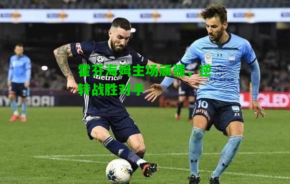 霍芬海姆主场顽强，逆转战胜对手