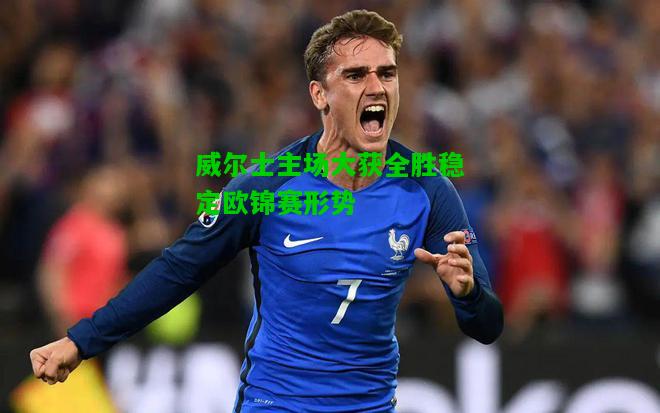 威尔士主场大获全胜稳定欧锦赛形势