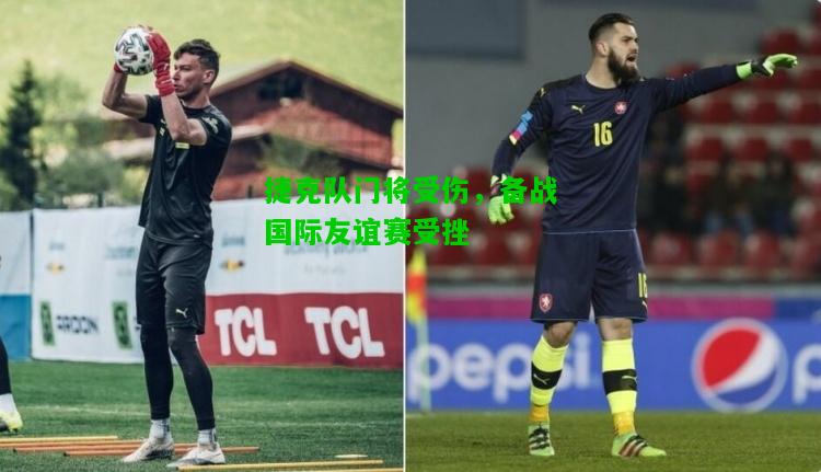 捷克队门将受伤，备战国际友谊赛受挫