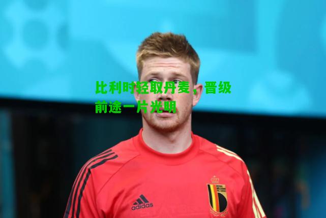 比利时轻取丹麦，晋级前途一片光明