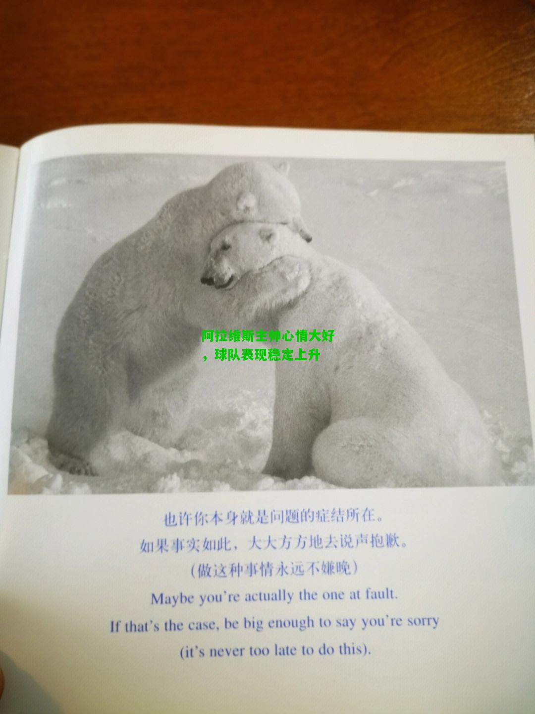 阿拉维斯主帅心情大好，球队表现稳定上升