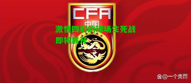 激情四射的球场生死战即将展开