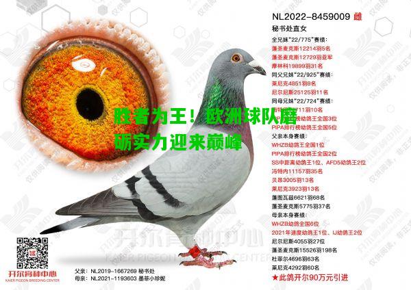 胜者为王！欧洲球队磨砺实力迎来巅峰