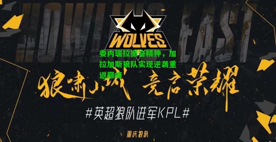 委内瑞拉振奋精神，加拉加斯狼队实现逆袭重返巅峰