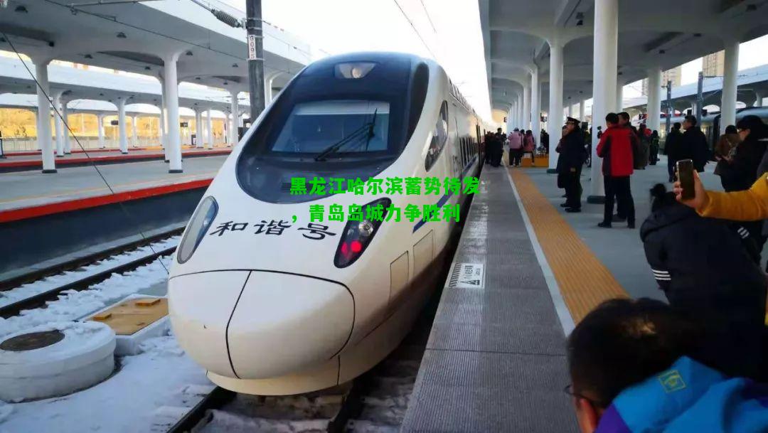 黑龙江哈尔滨蓄势待发，青岛岛城力争胜利