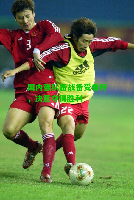 国内强队备战备受看好，决意夺得胜利