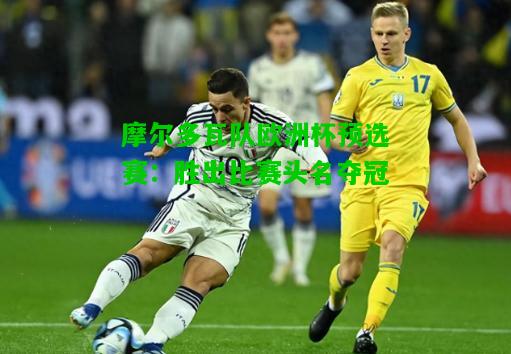 摩尔多瓦队欧洲杯预选赛：胜出比赛头名夺冠